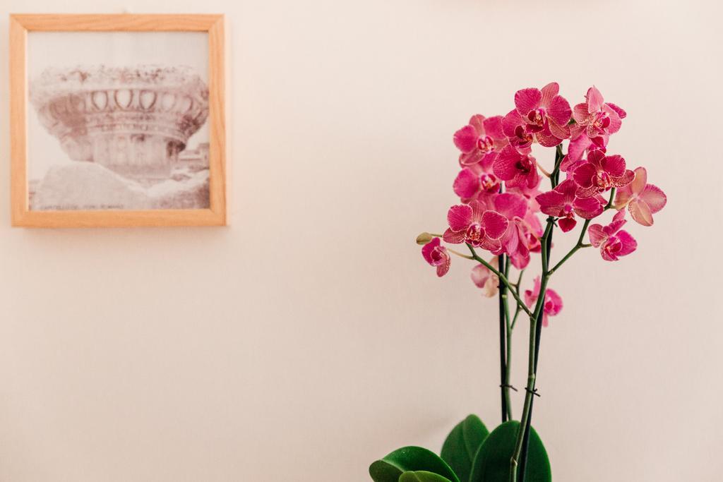 Adriano Augusto Bed & Breakfast Rome Bilik gambar